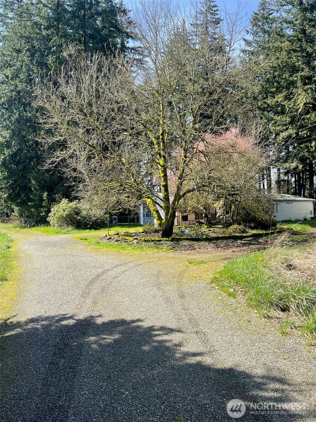 11735 Driver Street Property Photo 14