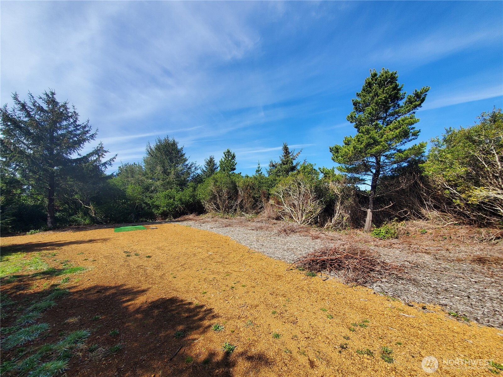 331 Ocean Shores Blvd Property Photo 12
