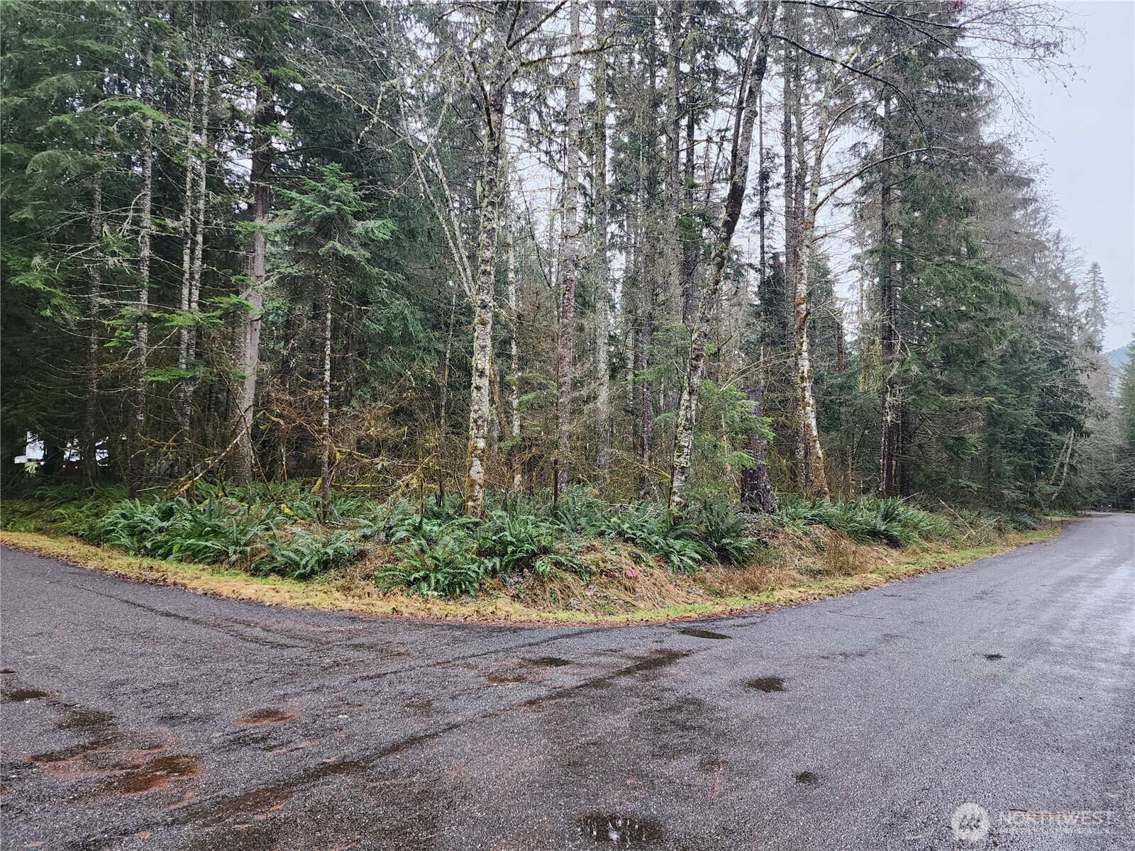 Eatonville High Real Estate Listings Main Image