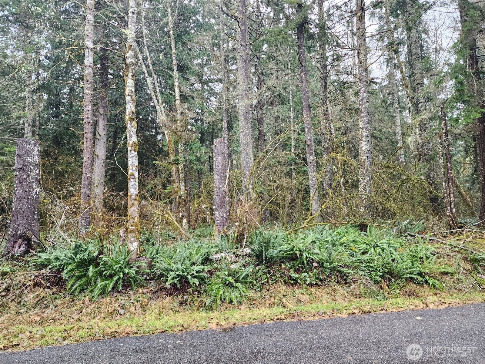 56519 380 Avenue Ct Property Photo 2