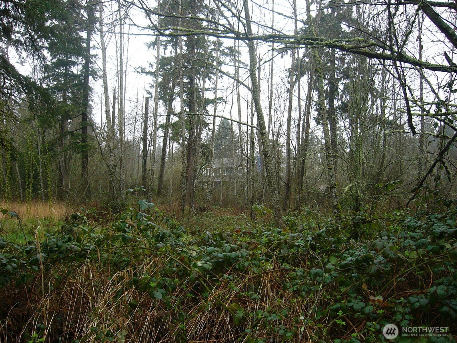 0 46th Avenue Property Photo 5