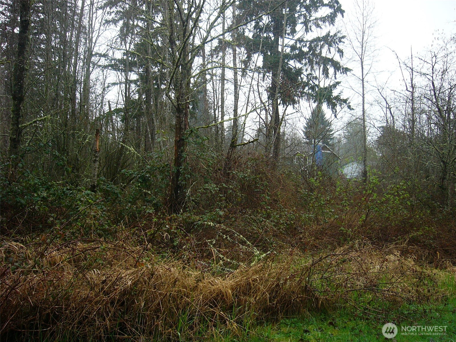 0 46th Avenue Property Photo 7