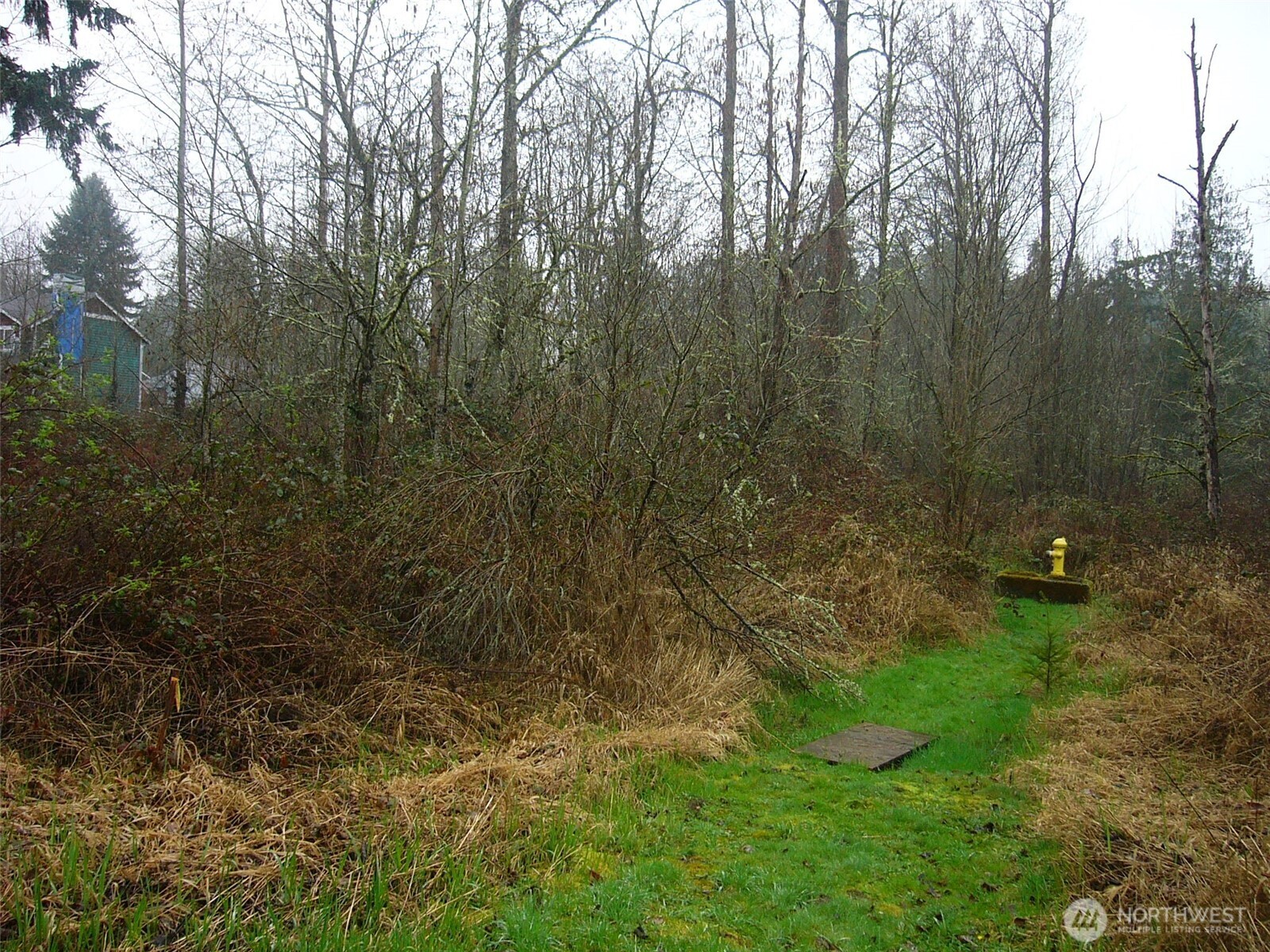 0 46th Avenue Property Photo 8