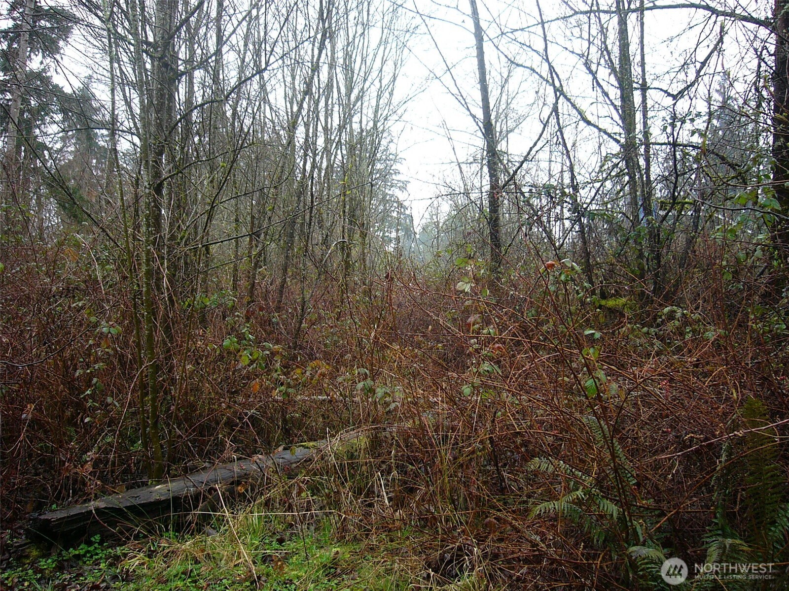 0 46th Avenue Property Photo 12