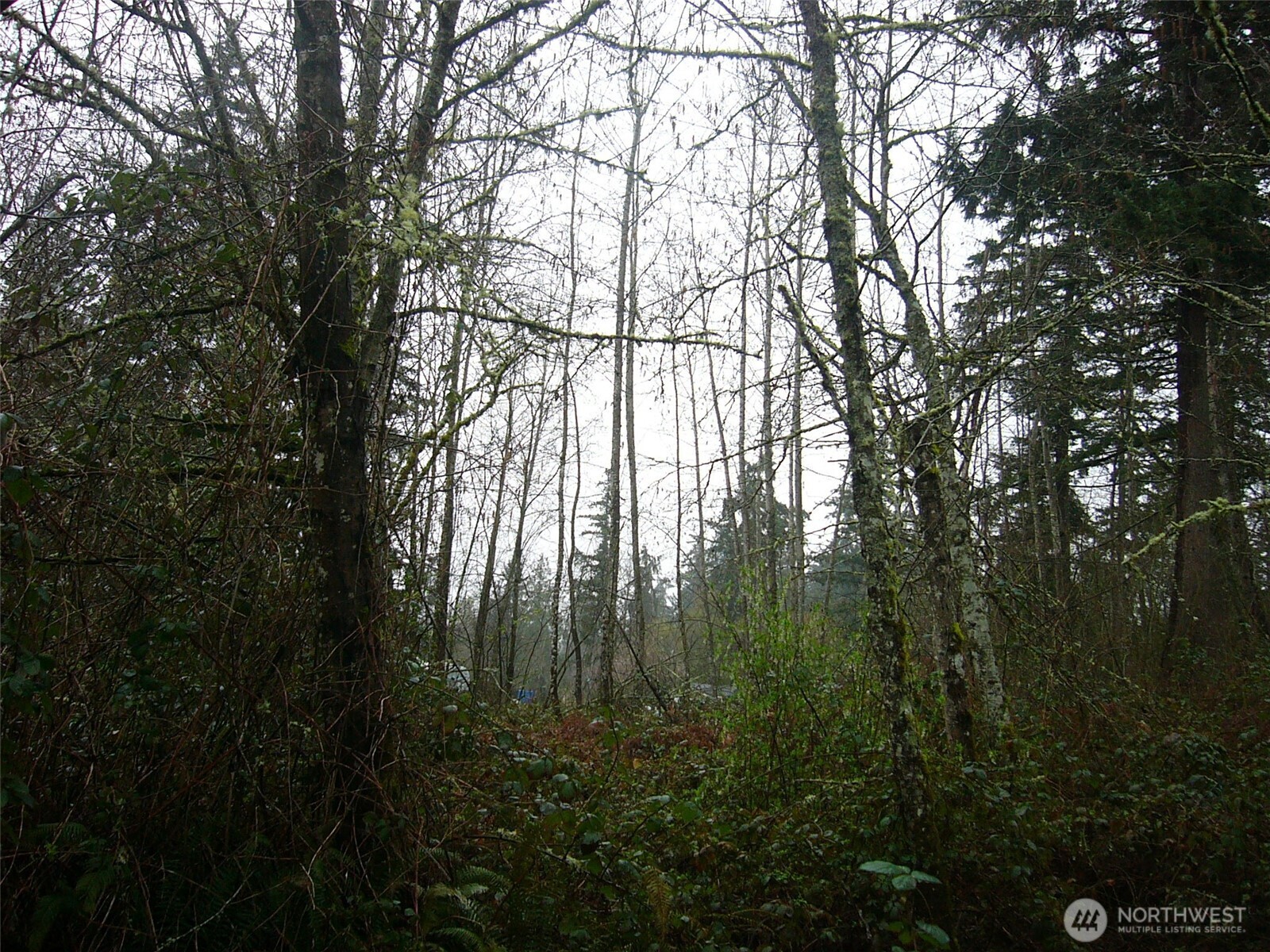 0 46th Avenue Property Photo 14