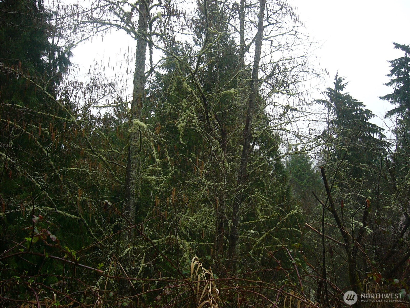 0 46th Avenue Property Photo 15