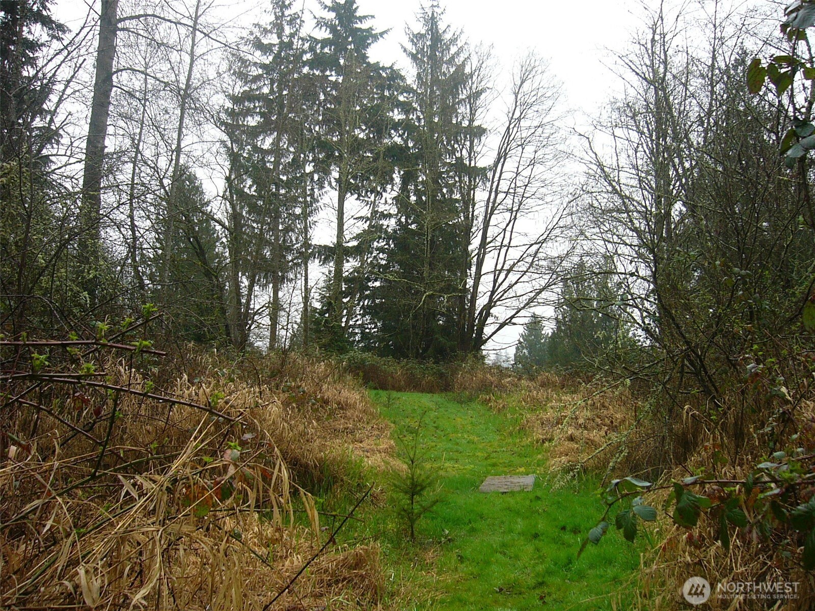 0 46th Avenue Property Photo 16