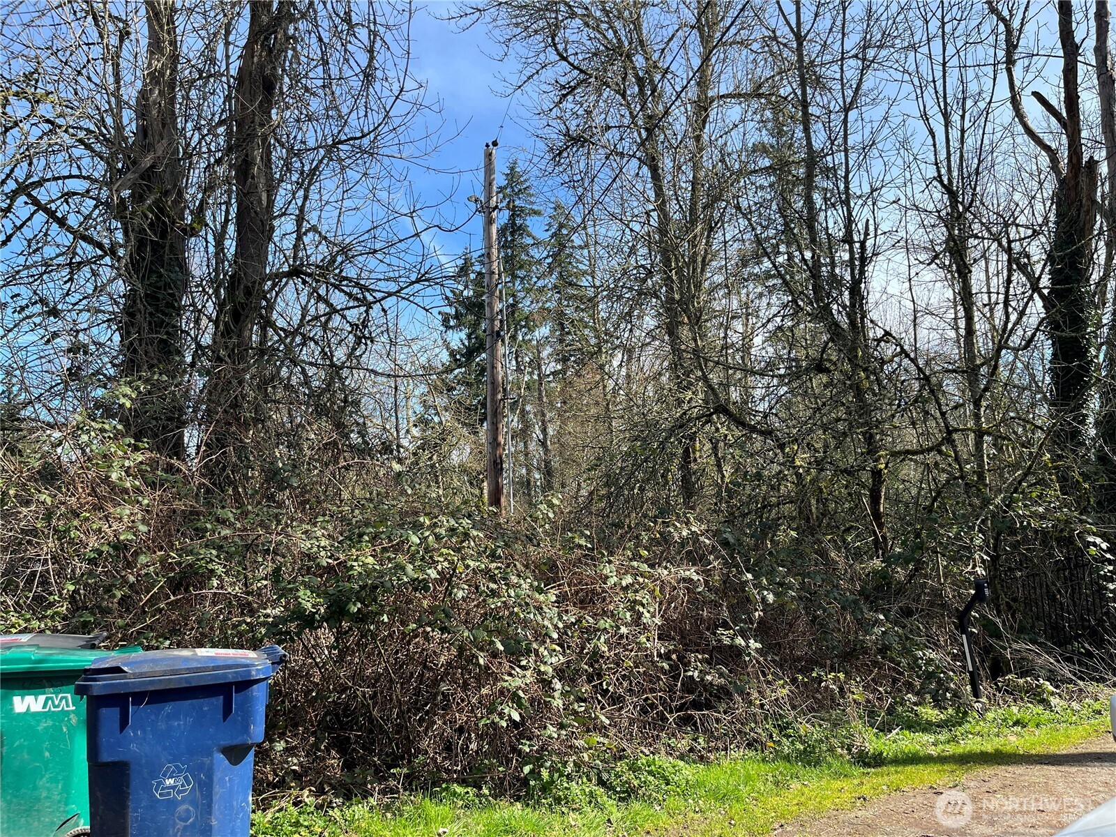 0 S 380th Street Property Photo 3