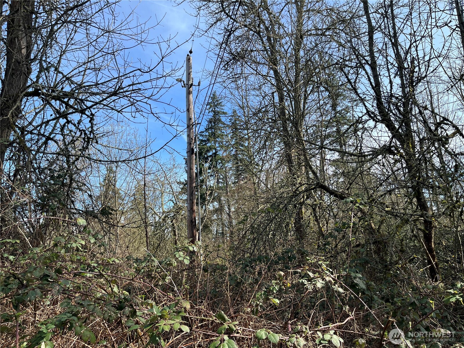 0 S 380th Street Property Photo 4