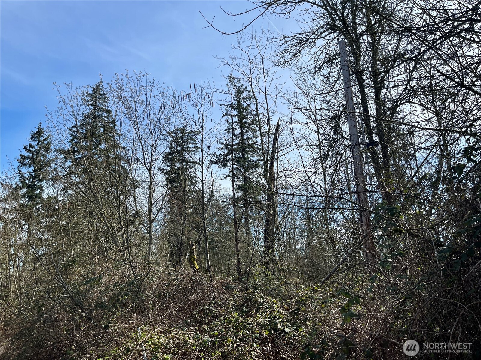 0 S 380th Street Property Photo 5