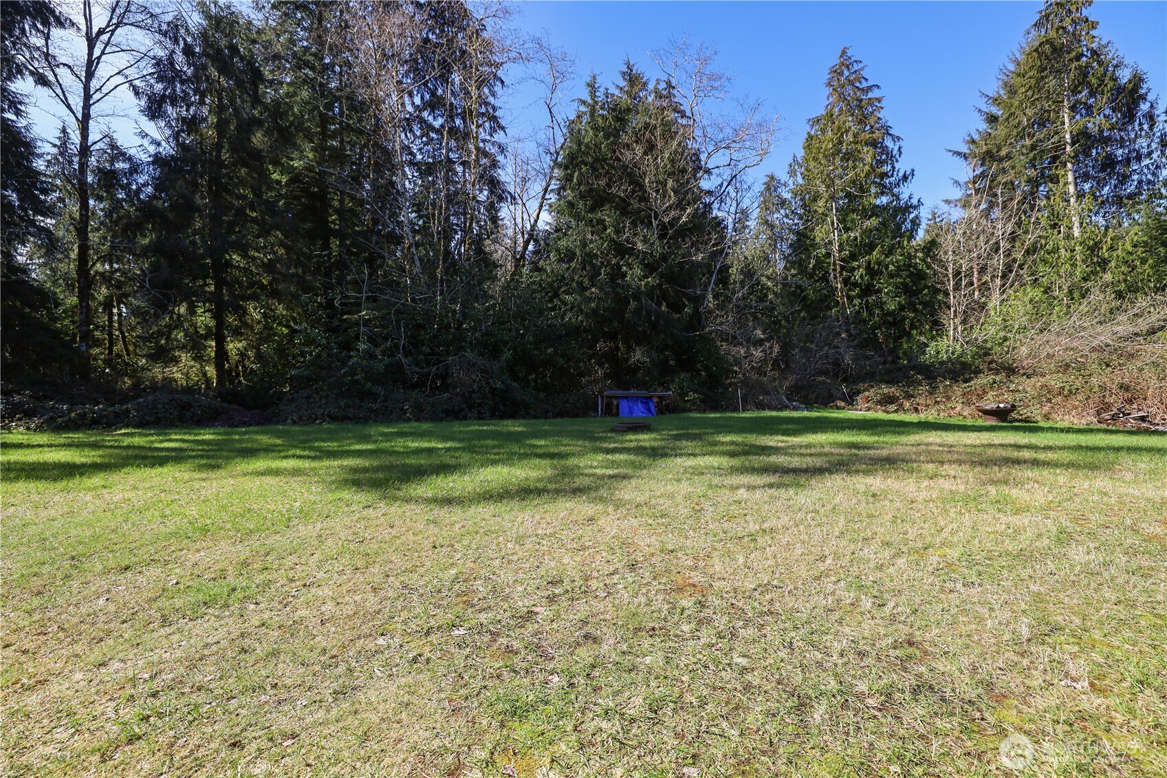 63 Lake Drive Property Photo 4
