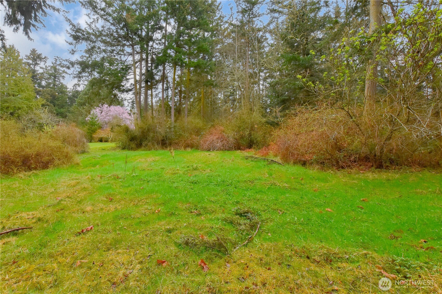0 Spring Street Property Photo 4