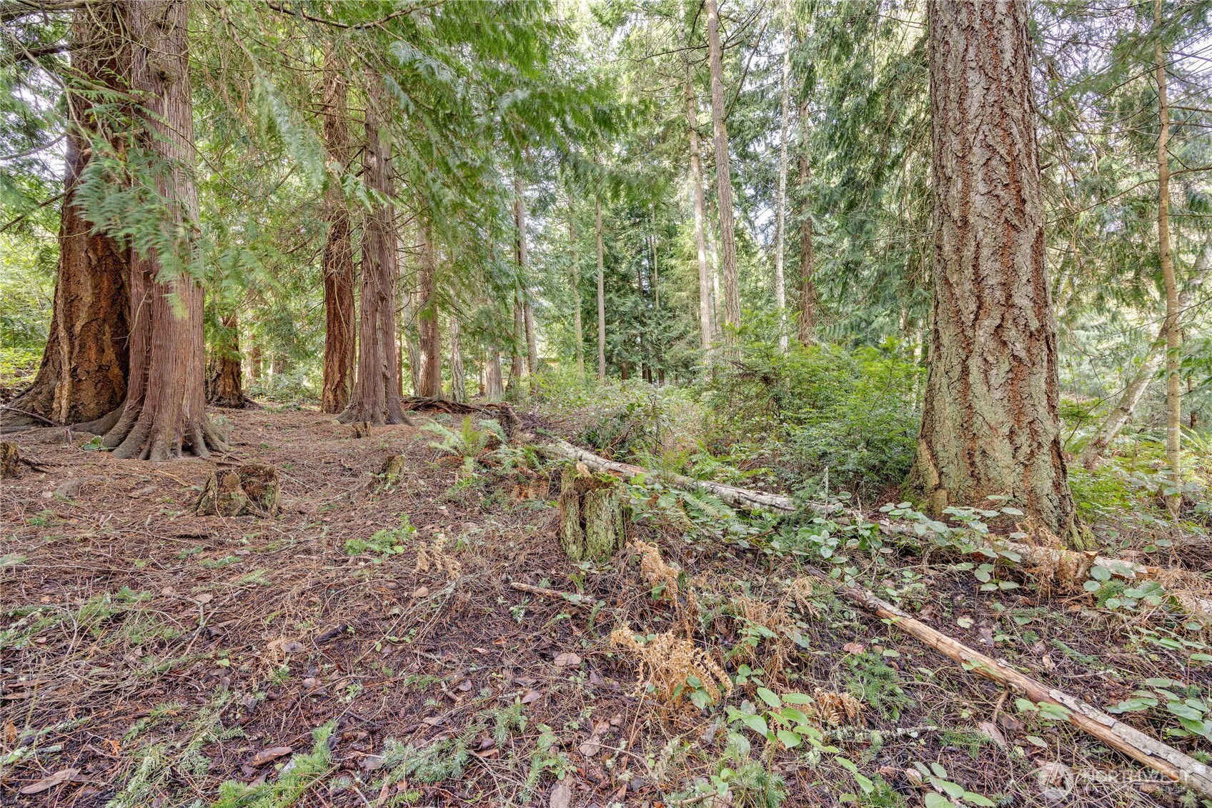 Port Townsend Real Estate Listings Main Image