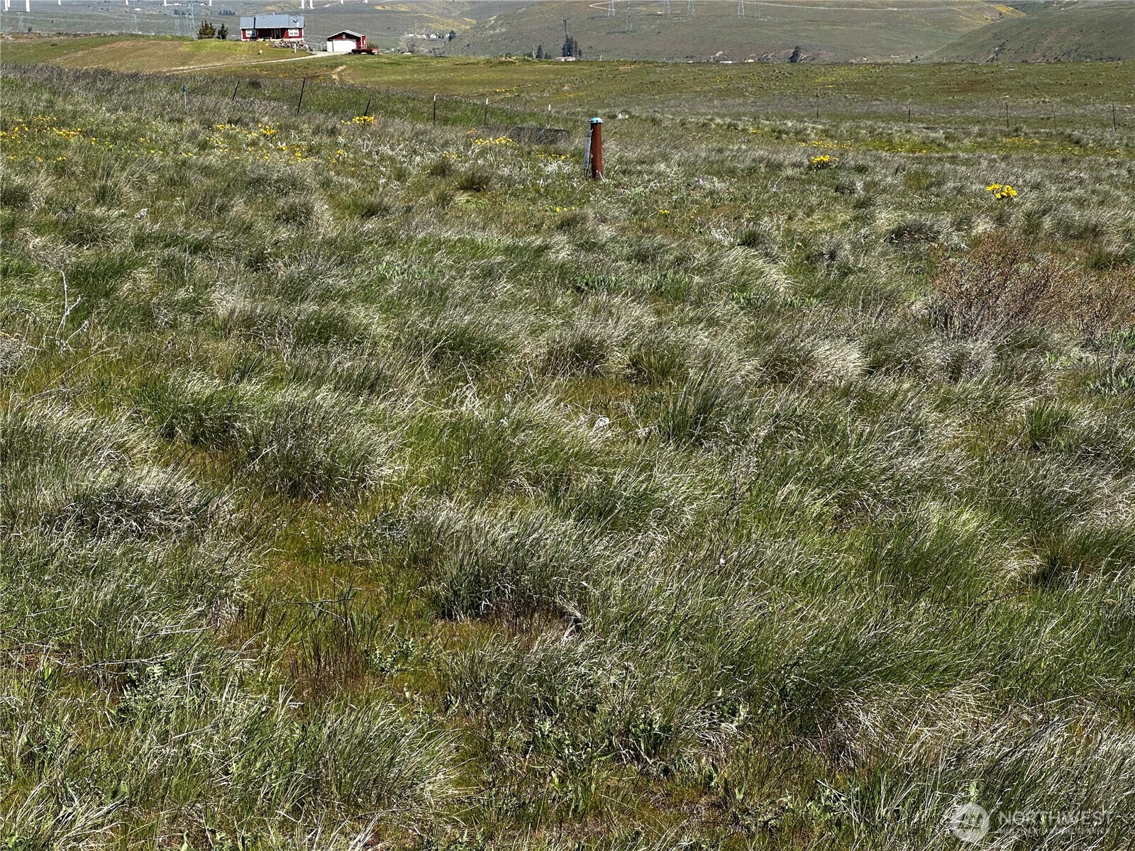 3682 Ellensburg Ranches Road Property Photo 16