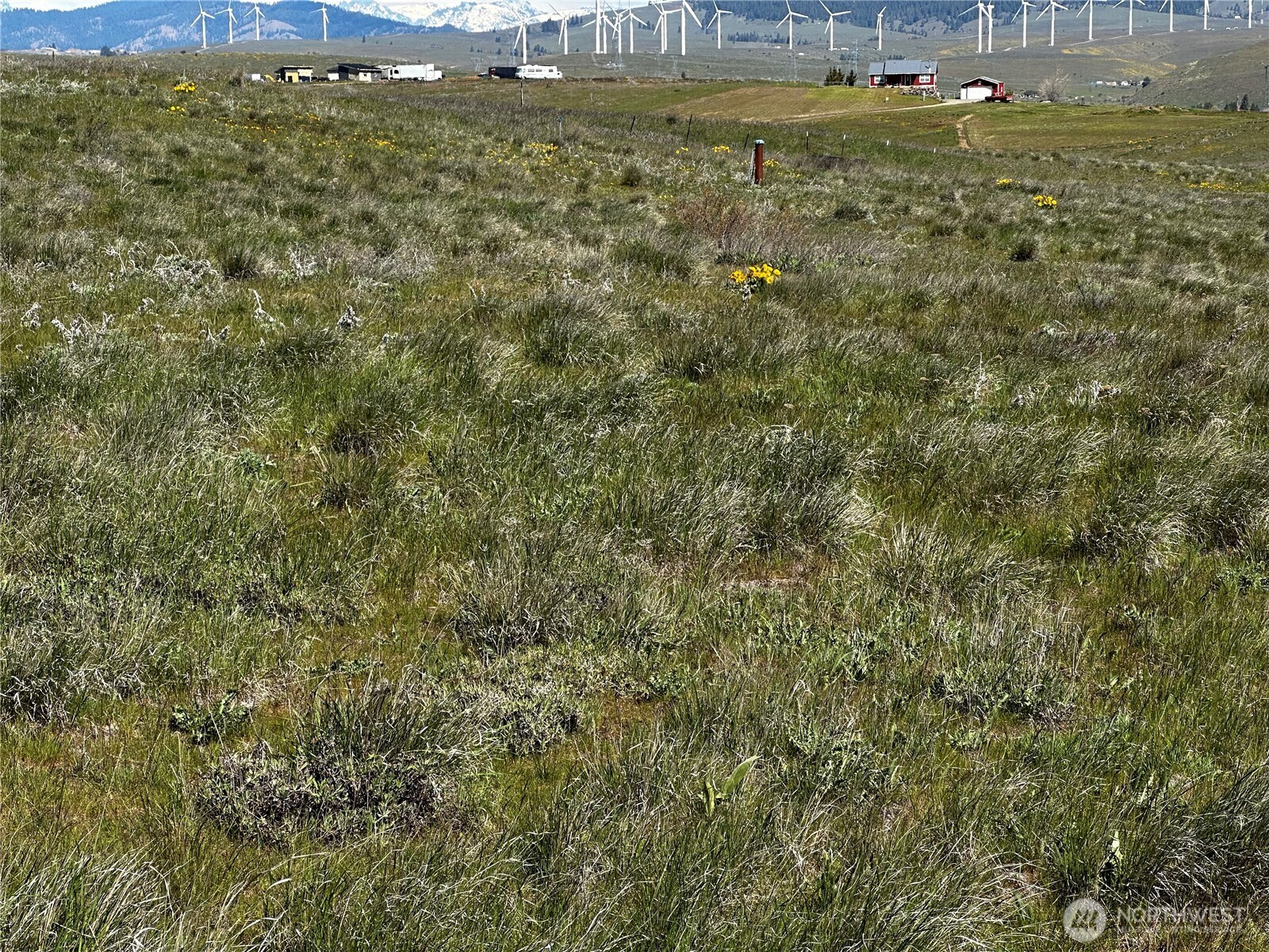 3682 Ellensburg Ranches Road Property Photo 17