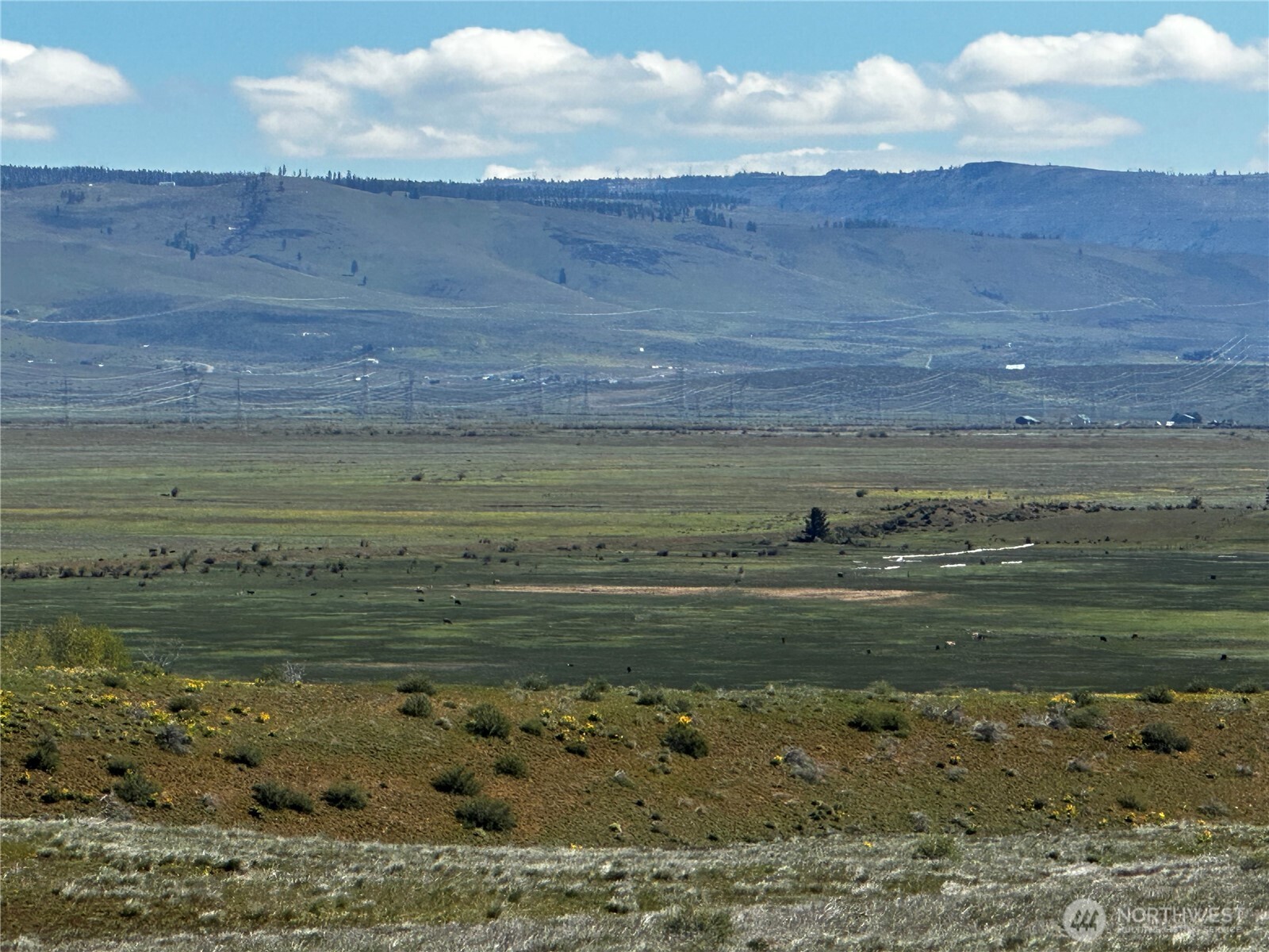 3682 Ellensburg Ranches Road Property Photo 21