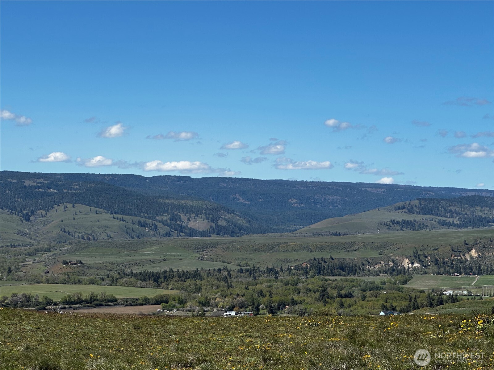 3682 Ellensburg Ranches Road Property Photo 22