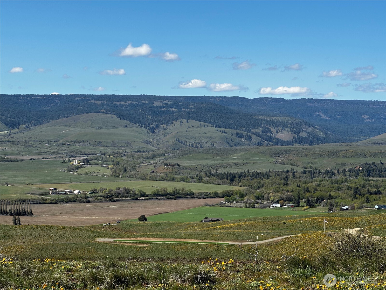 3682 Ellensburg Ranches Road Property Photo 25