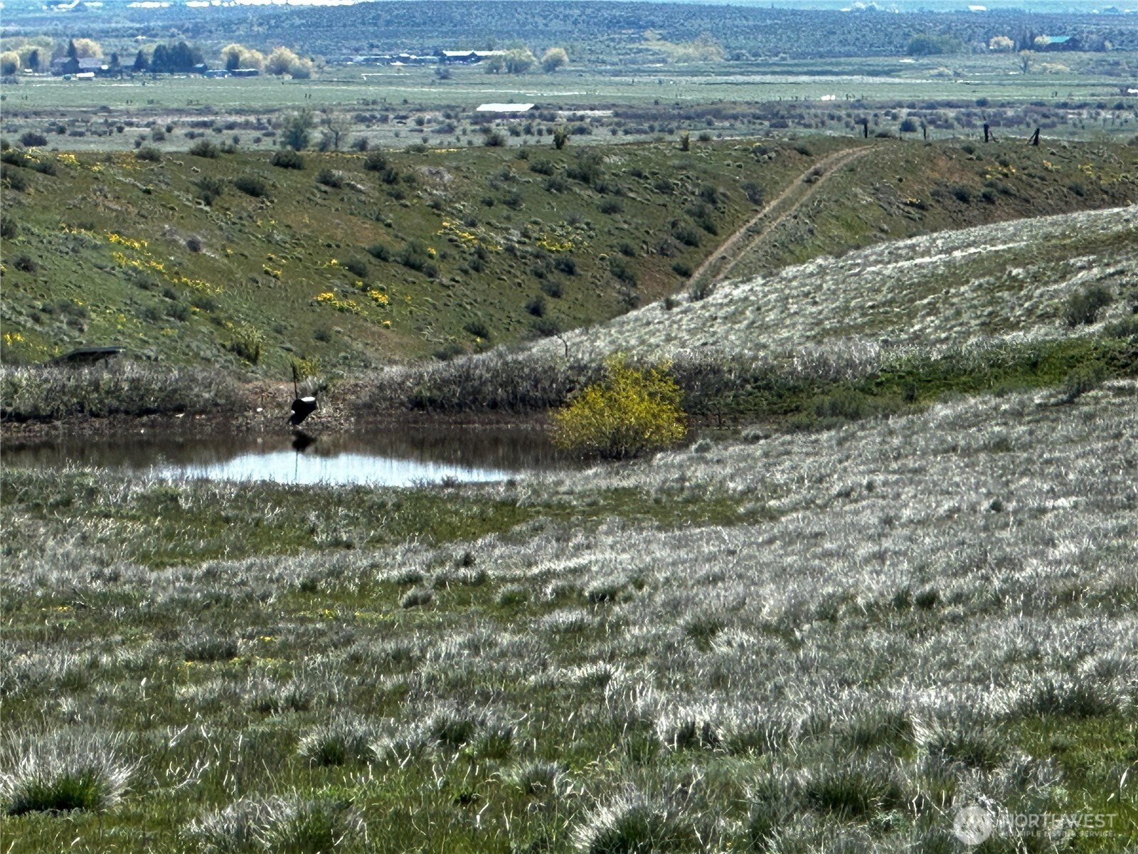 3682 Ellensburg Ranches Road Property Photo 28