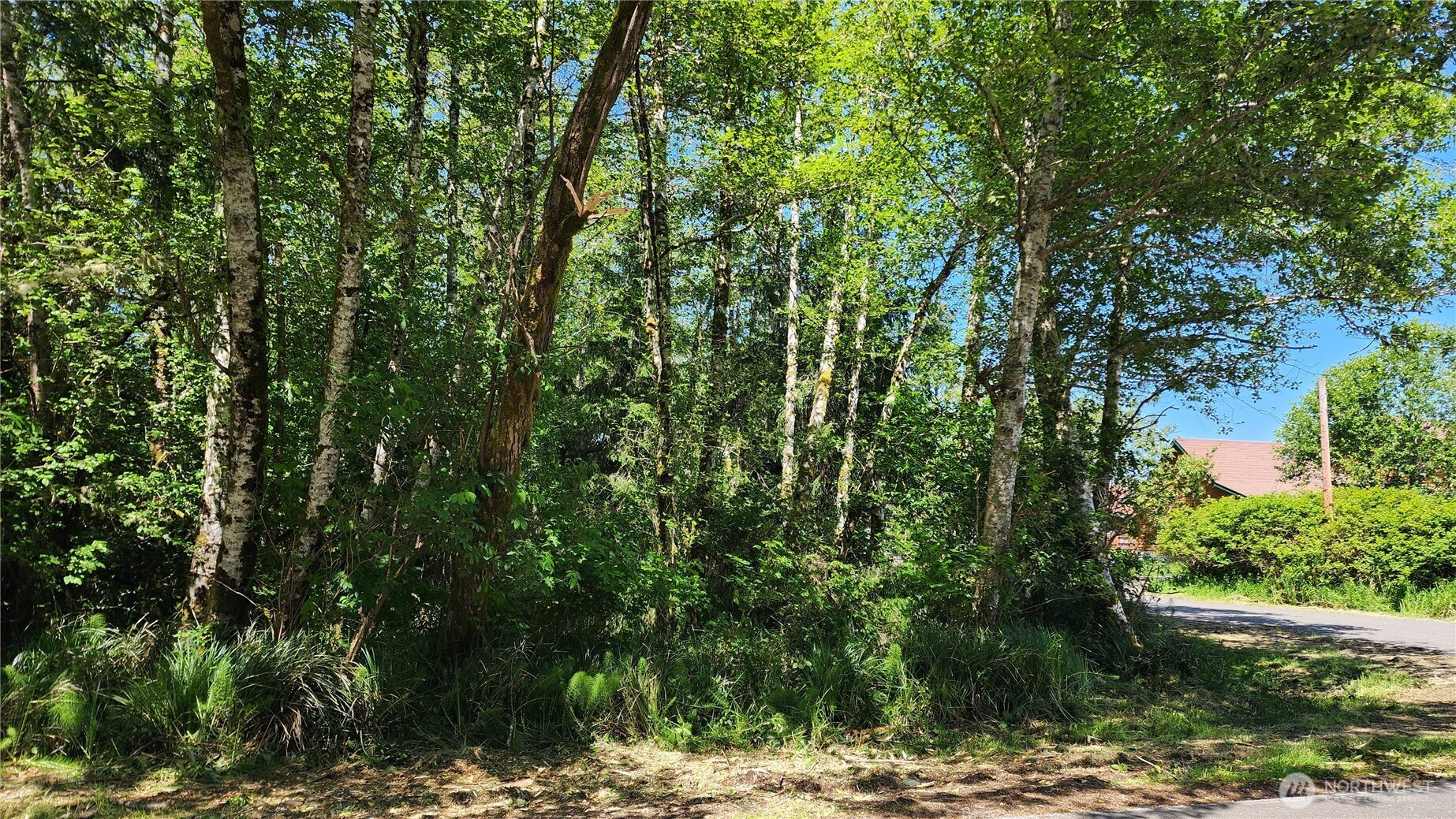 801 Duck Lake Drive Property Photo 1