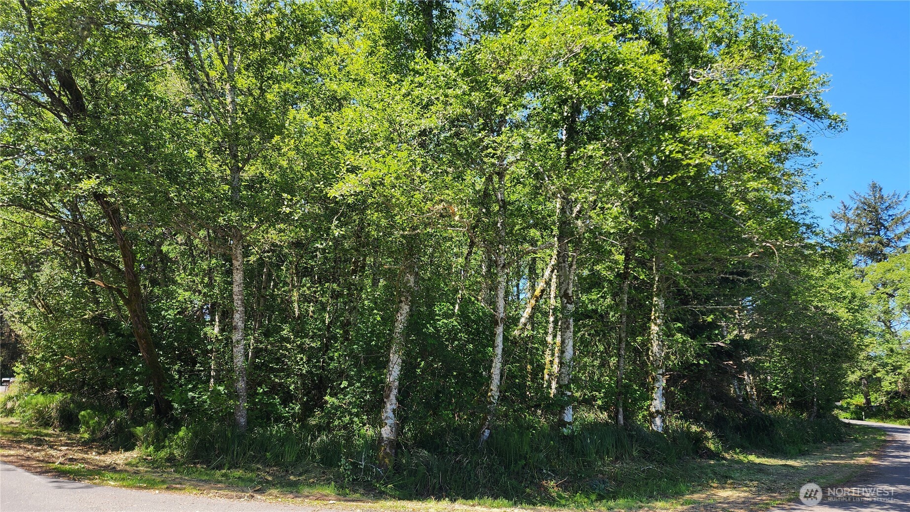 801 Duck Lake Drive Property Photo 2