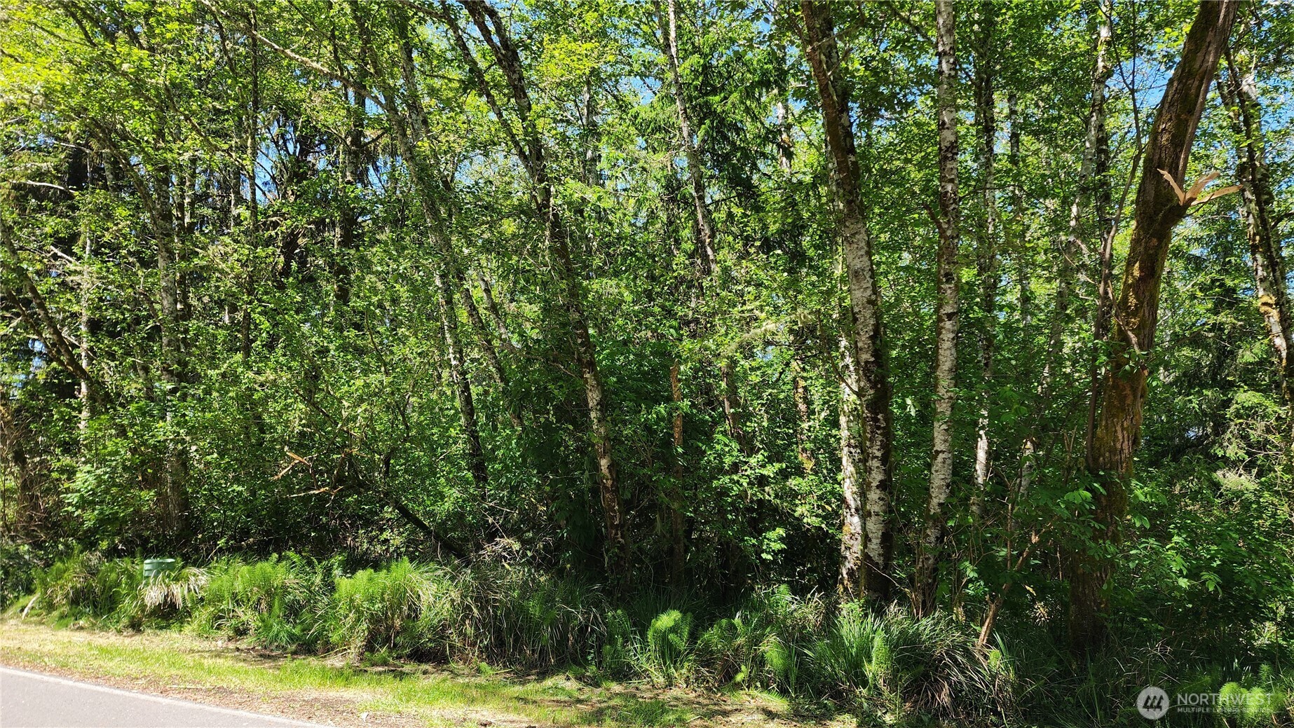 801 Duck Lake Drive Property Photo 3