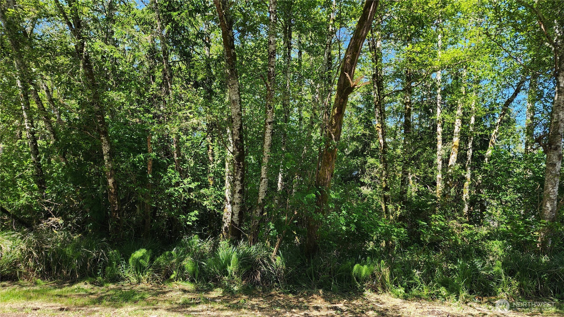 801 Duck Lake Drive Property Photo 4