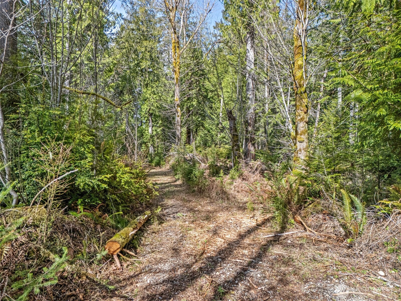 0 Xxx E Haskell Hill Road Property Photo 17