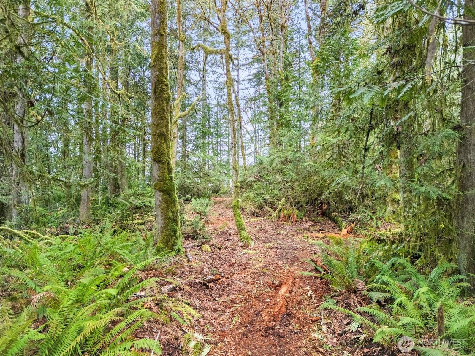 0 Xxx E Haskell Hill Road Property Photo 18