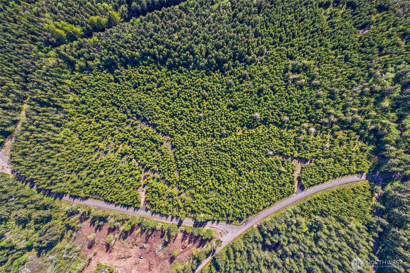 0 W Lost Lake Lot 3 Road Property Photo 7