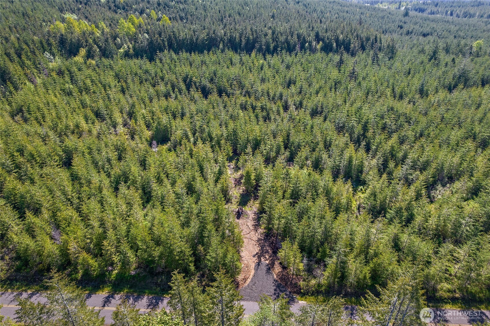 0 W Lost Lake Lot 2 Road Property Photo 5