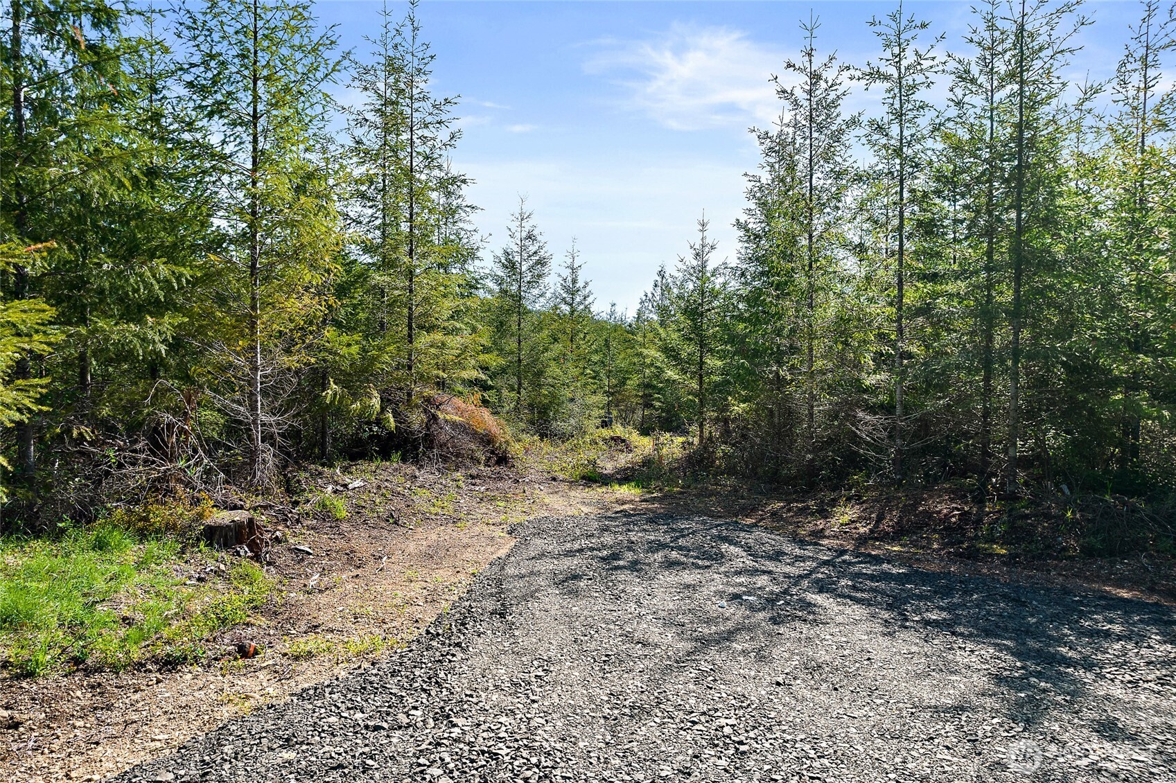 0 W Lost Lake Lot 2 Road Property Photo 12
