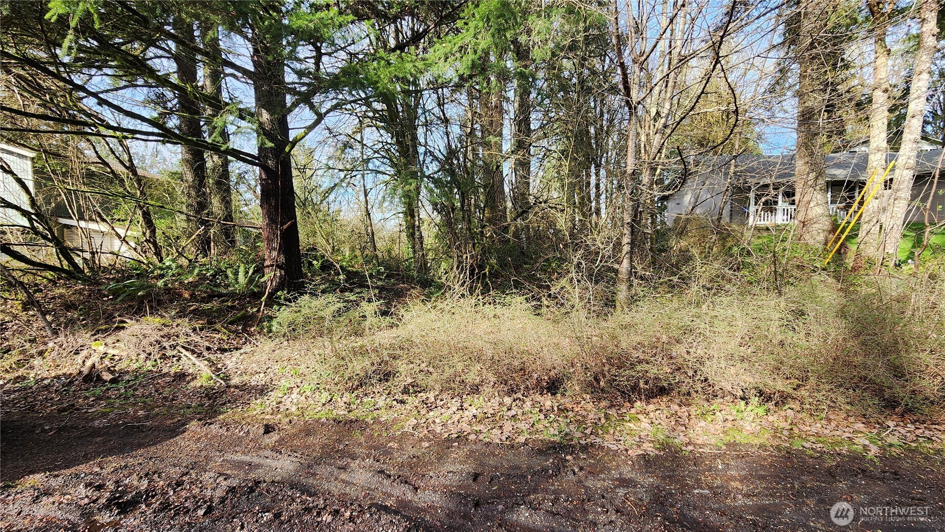 12422 Champion Drive Property Photo 10