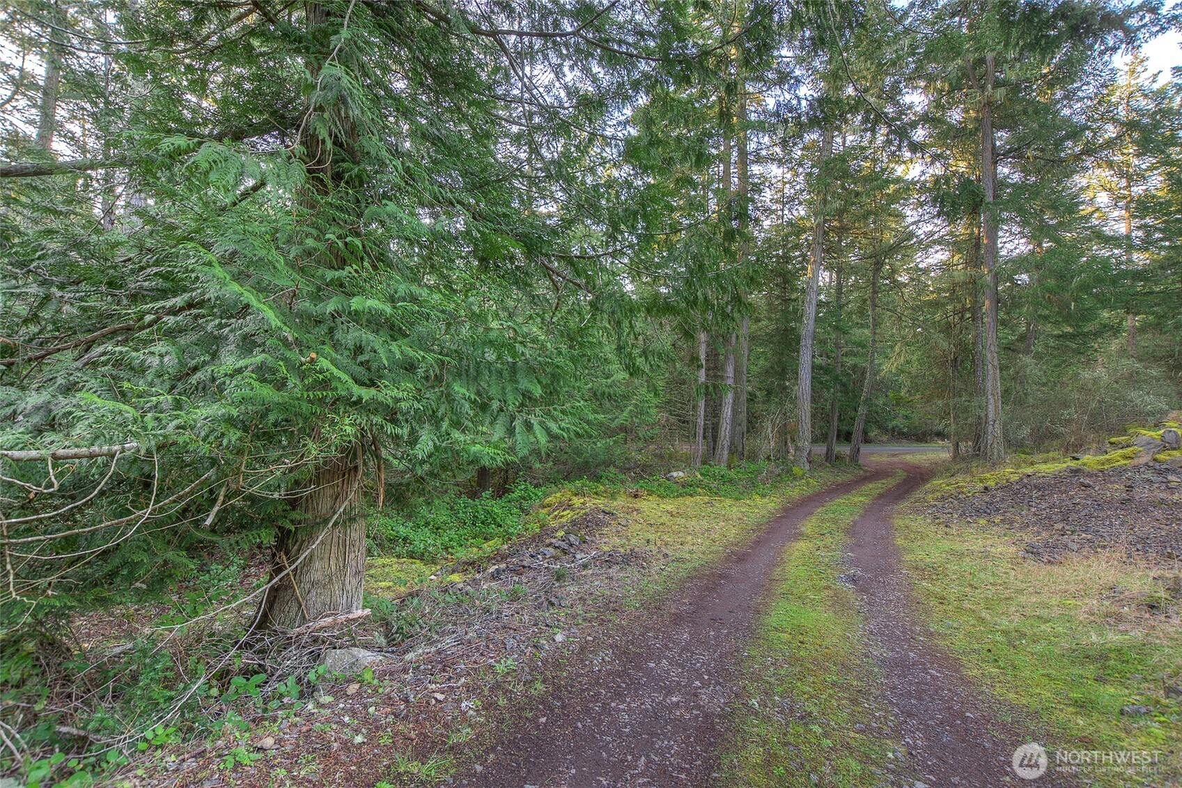 1536 Neck Point Road Property Photo 4