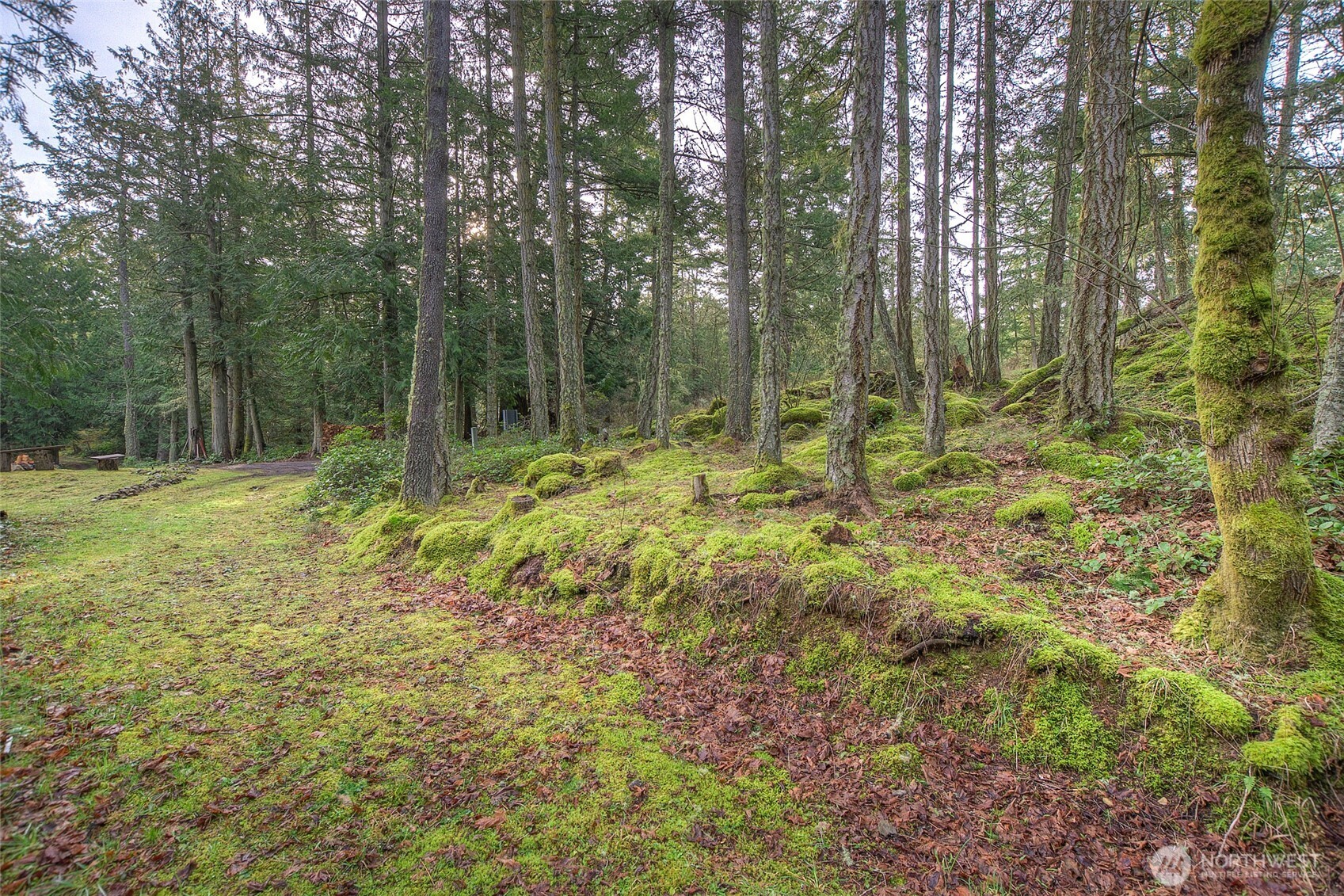 1536 Neck Point Road Property Photo 16