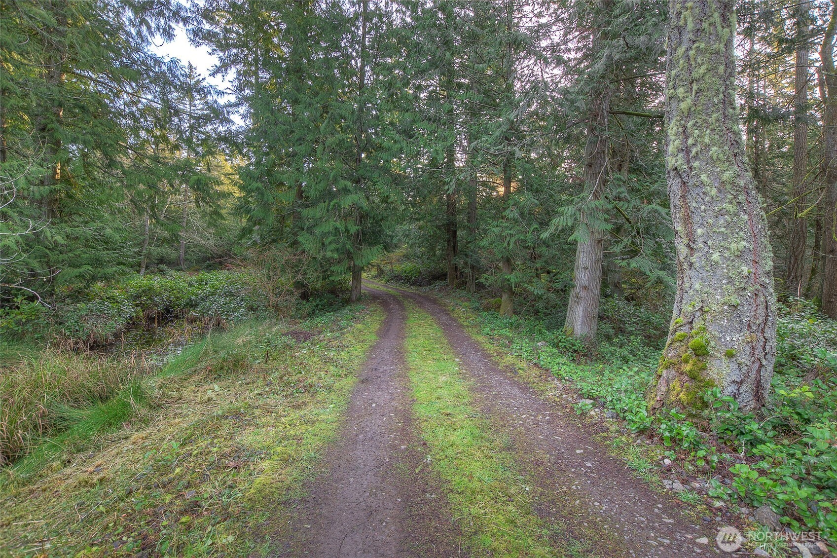 1536 Neck Point Road Property Photo 18