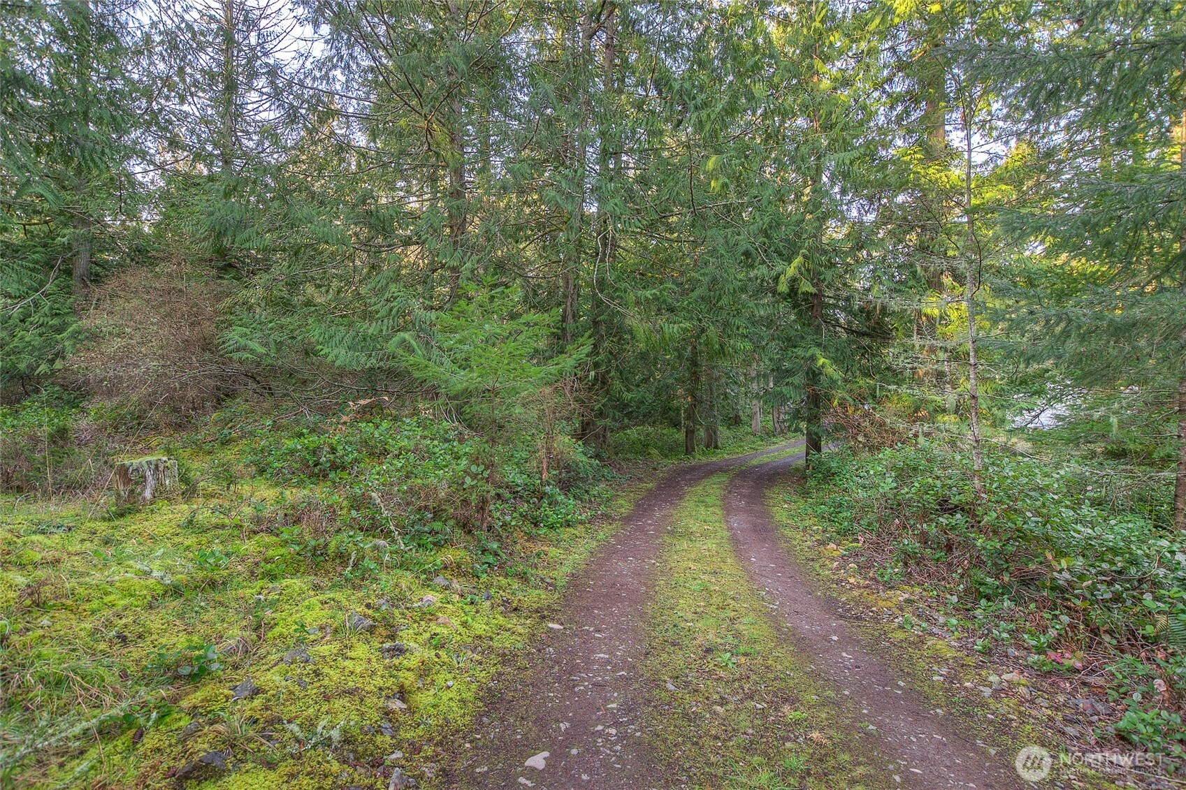 1536 Neck Point Road Property Photo 19