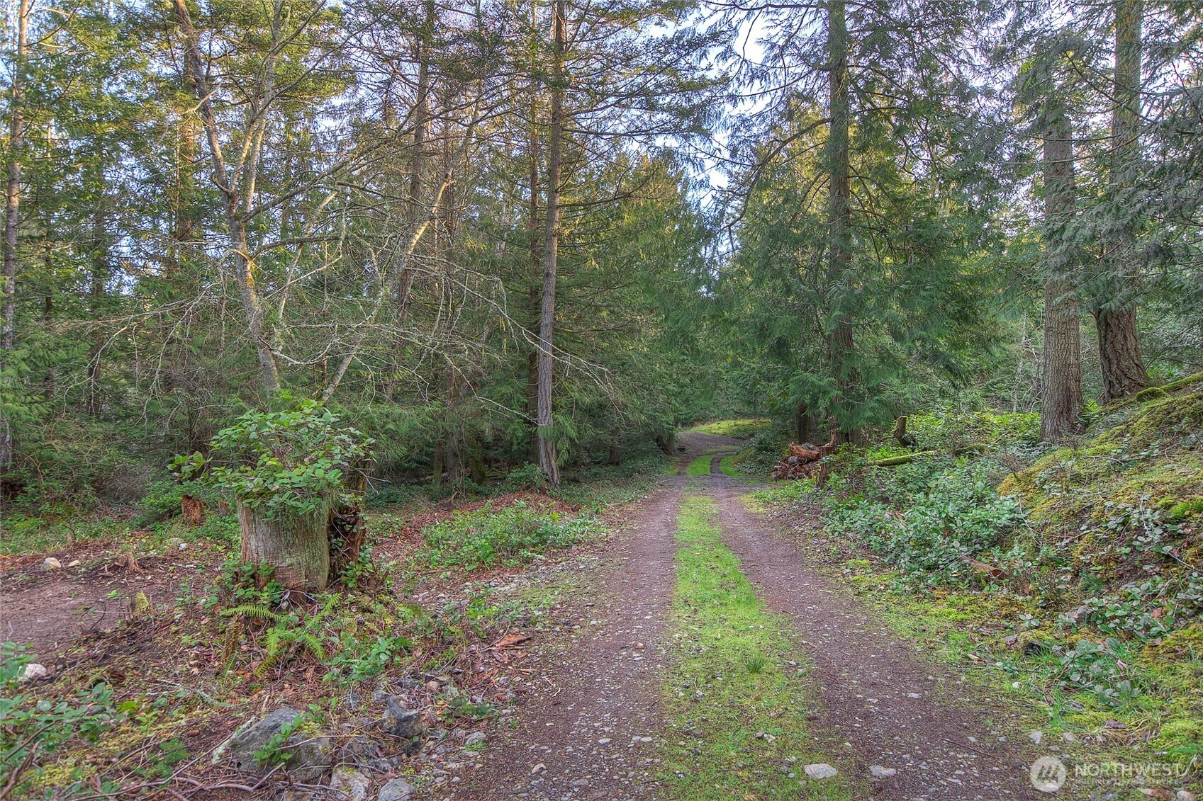 1536 Neck Point Road Property Photo 20