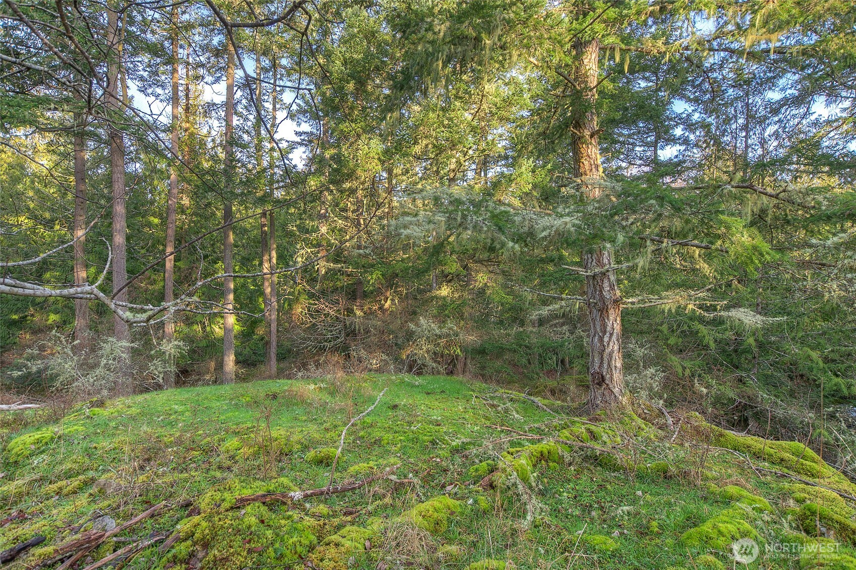 1536 Neck Point Road Property Photo 23