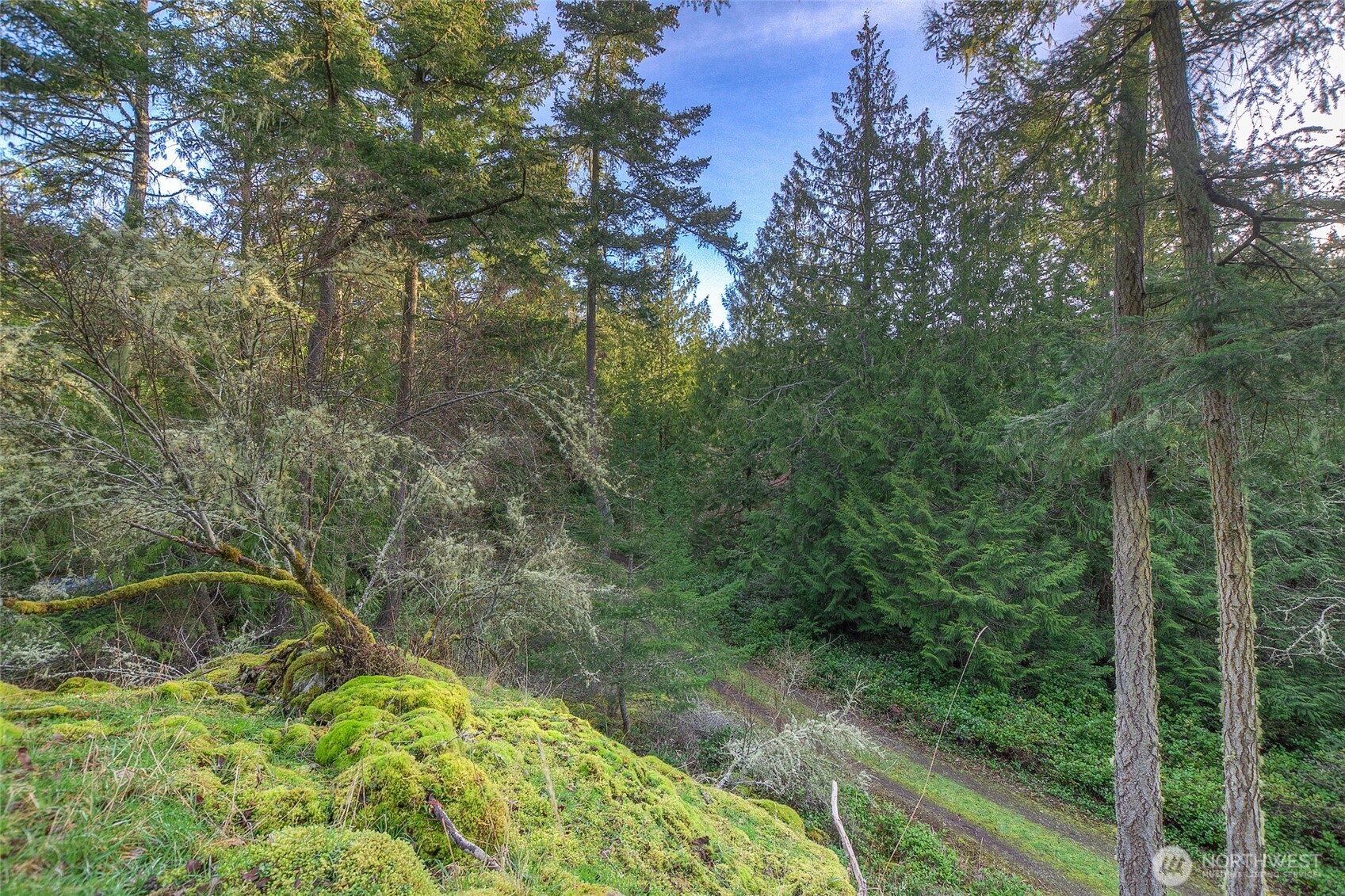 1536 Neck Point Road Property Photo 24