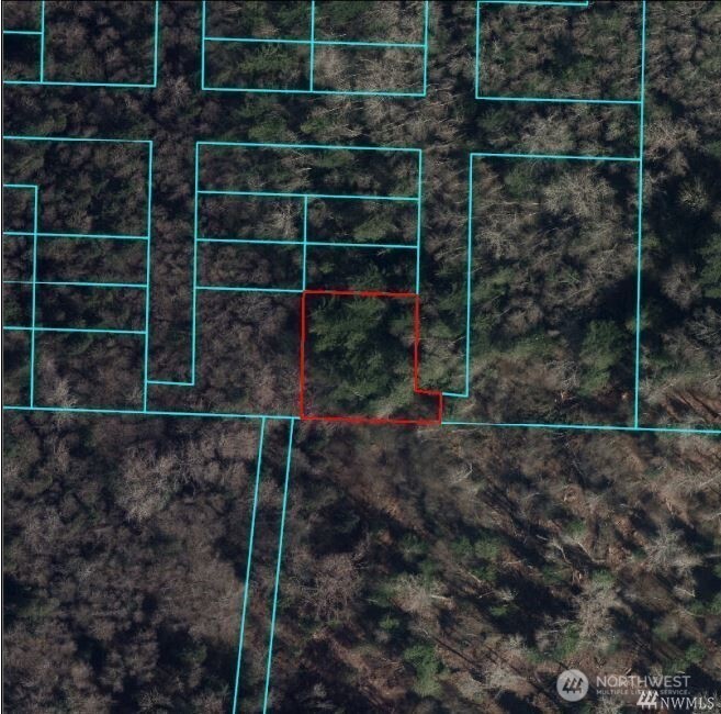0 Pine Street Property Photo 1