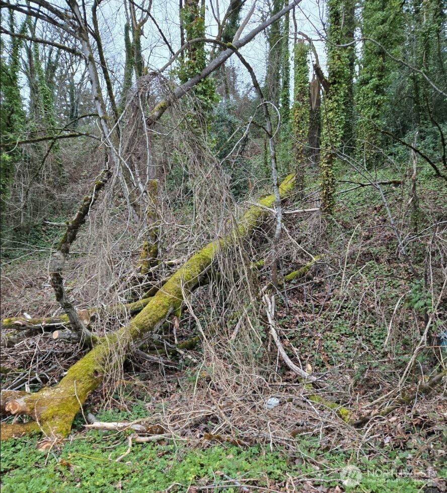 121 Rainier Avenue Property Photo 1