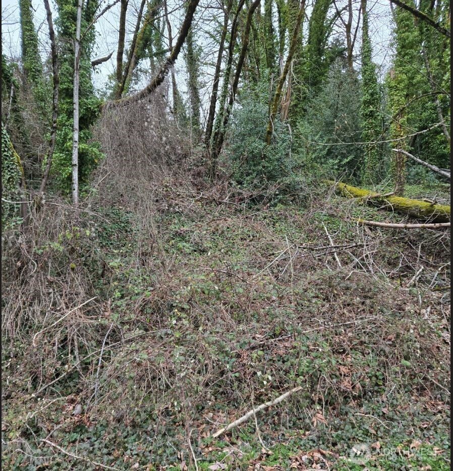 121 Rainier Avenue Property Photo 2