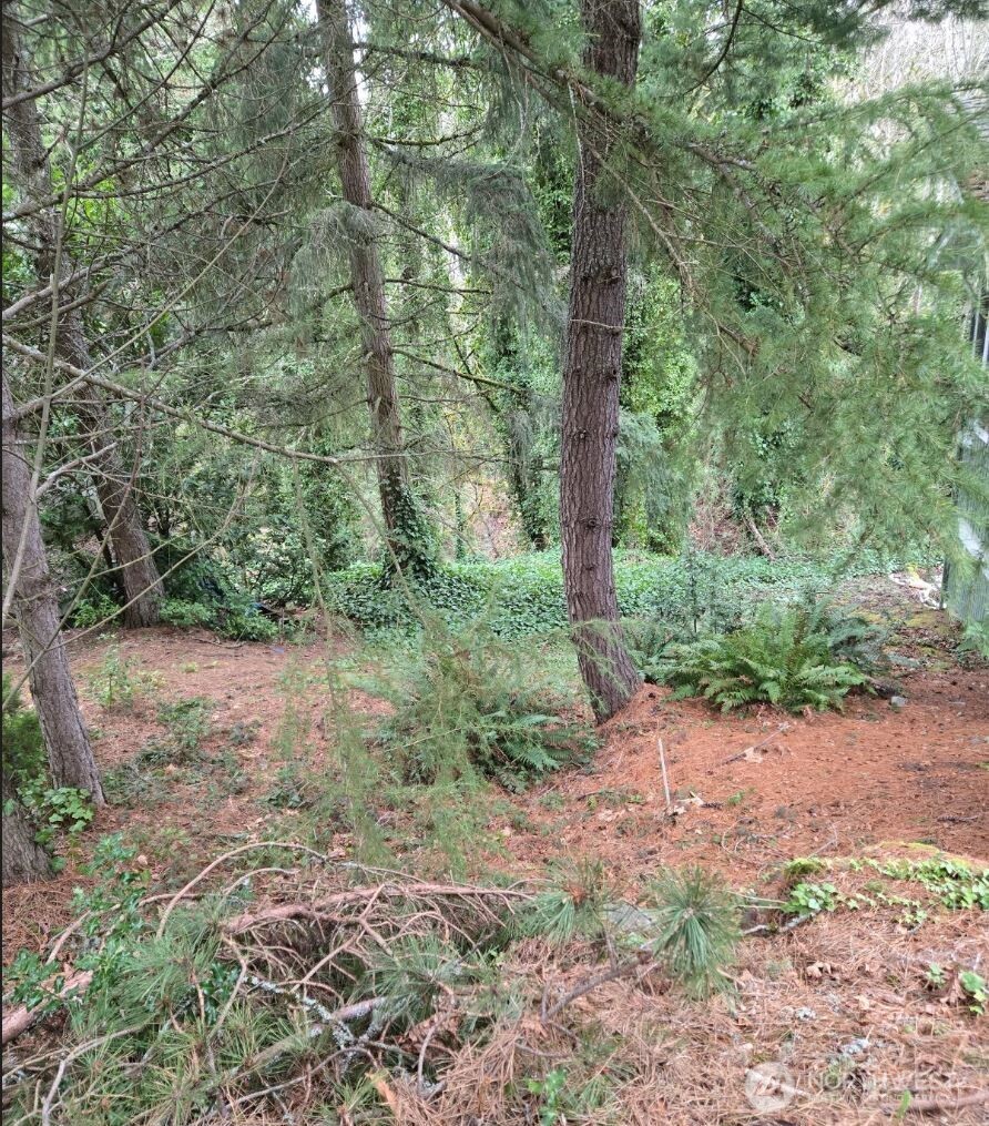 4684 152nd Place Property Photo 5