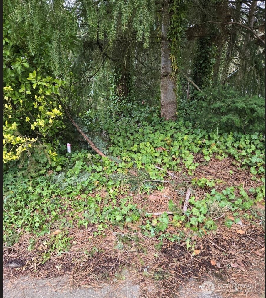 4684 152nd Place Property Photo 8