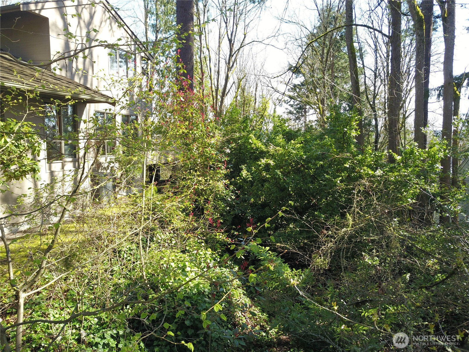 7436 92nd Avenue Property Photo 14