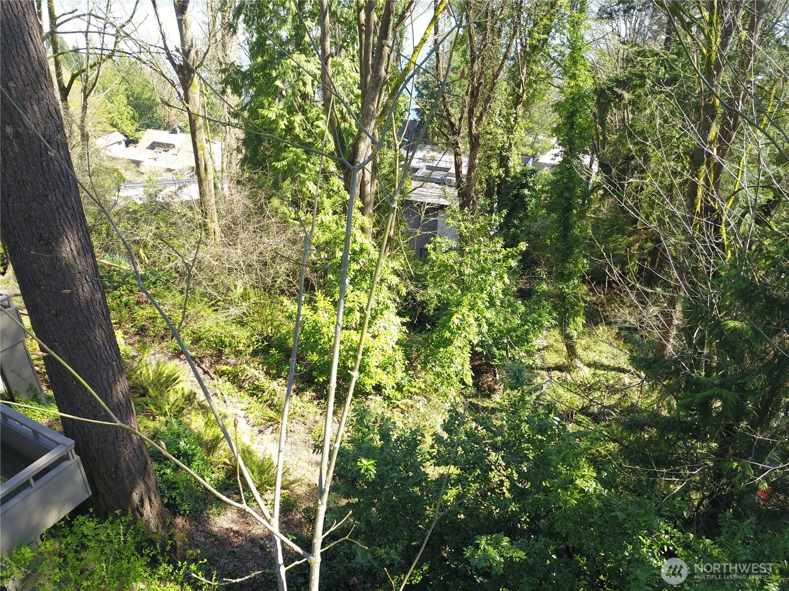 7436 92nd Avenue Property Photo 15