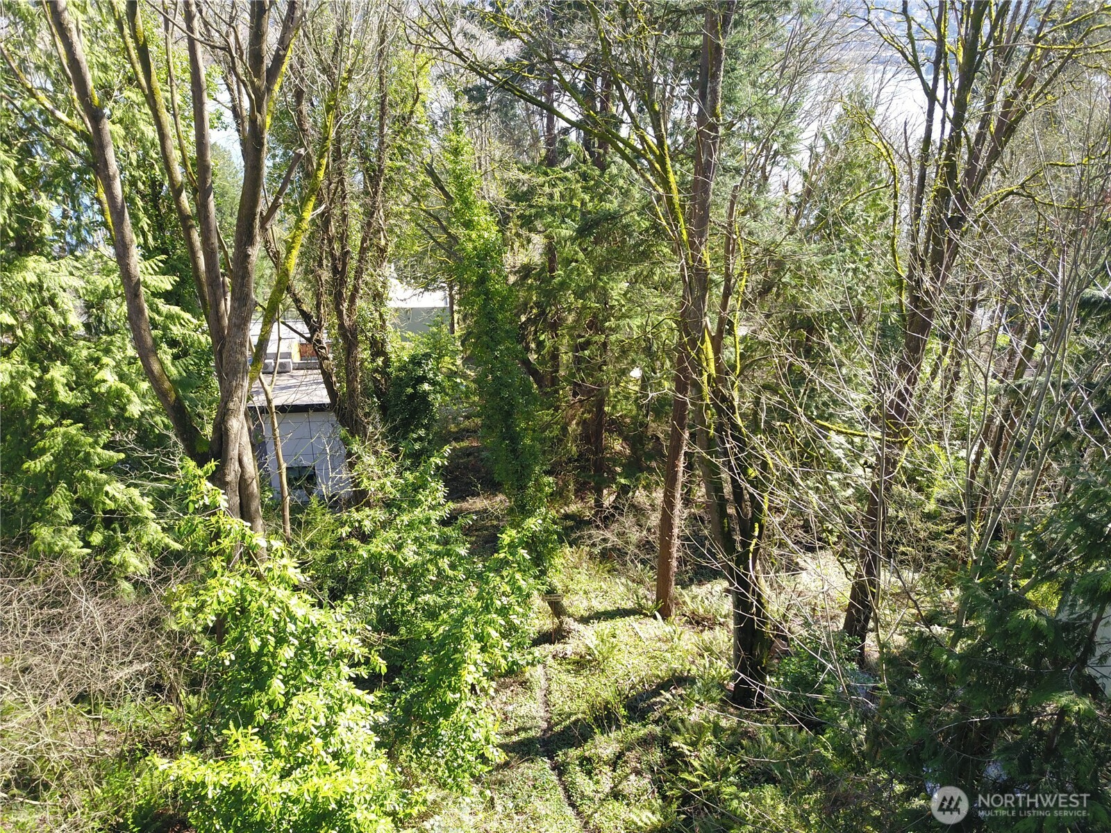 7436 92nd Avenue Property Photo 16