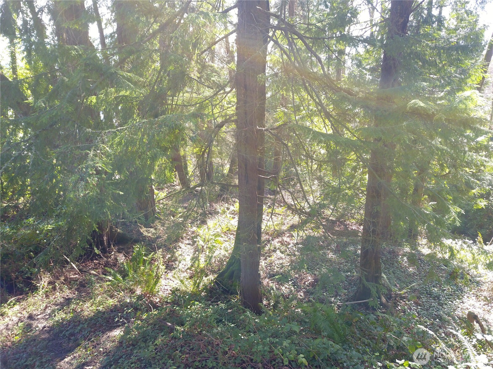7436 92nd Avenue Property Photo 19
