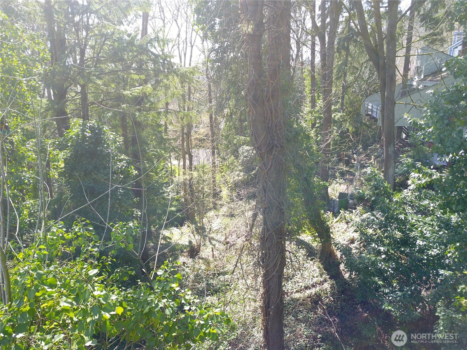 7436 92nd Avenue Property Photo 22